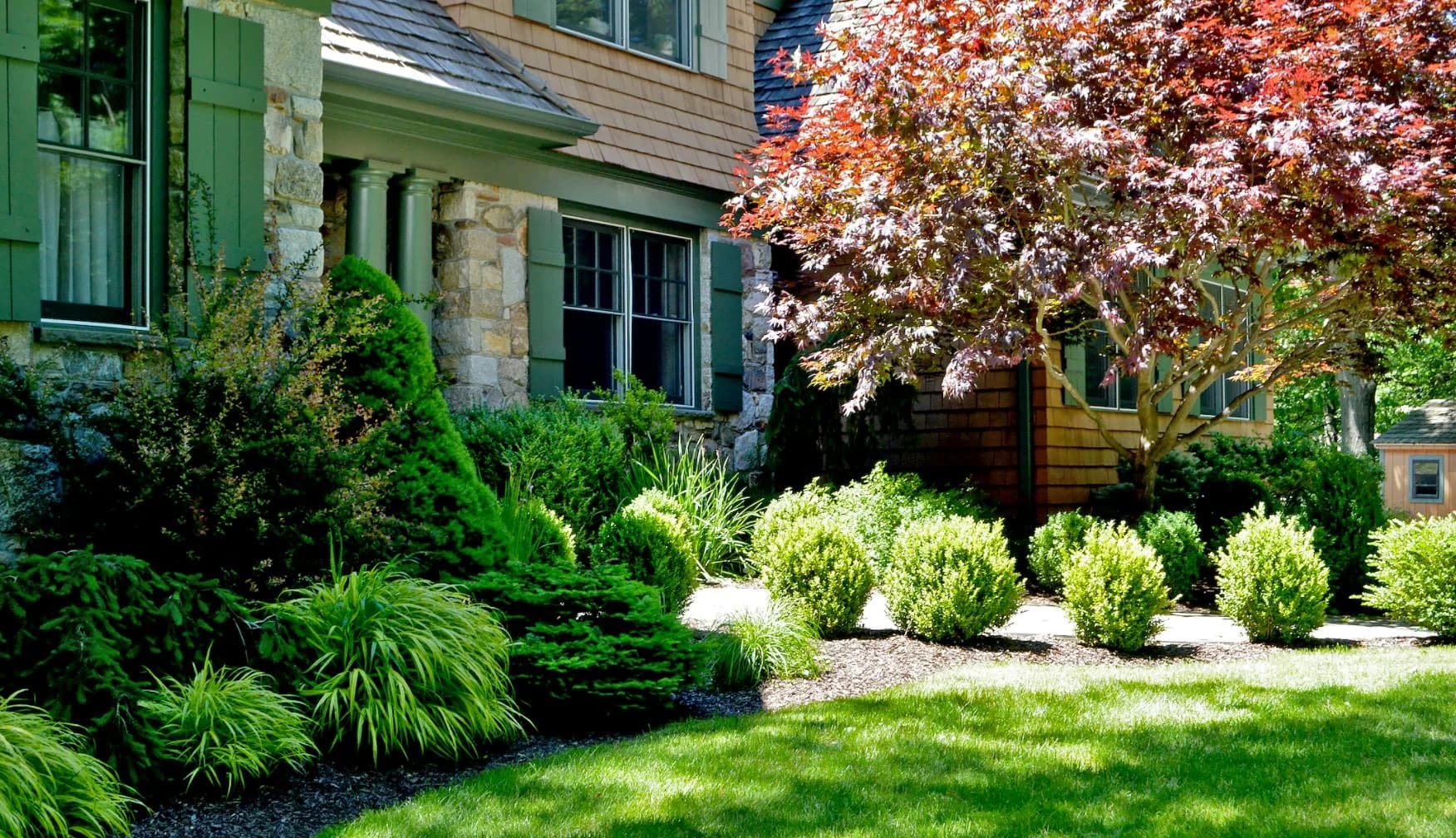 Tree & Shrub Planting Services in Marble Falls, TX