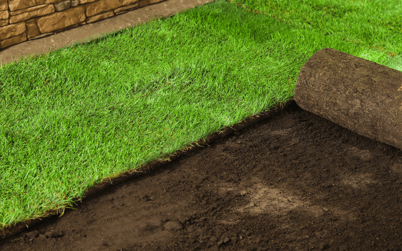 Sod Installation Services in Marble Falls, TX